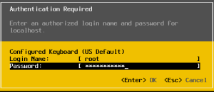 13 ESXi Login