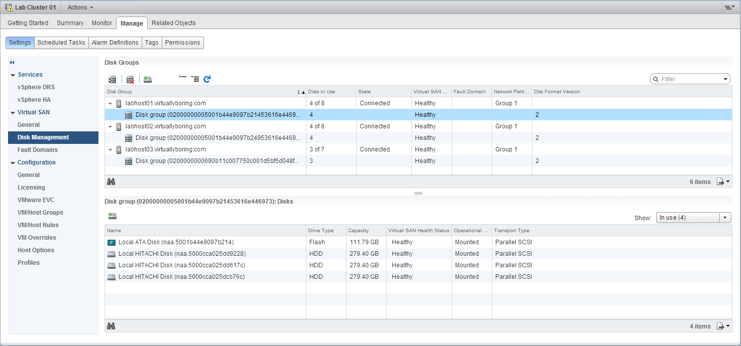 14 VSAN - Confirm Disk Group